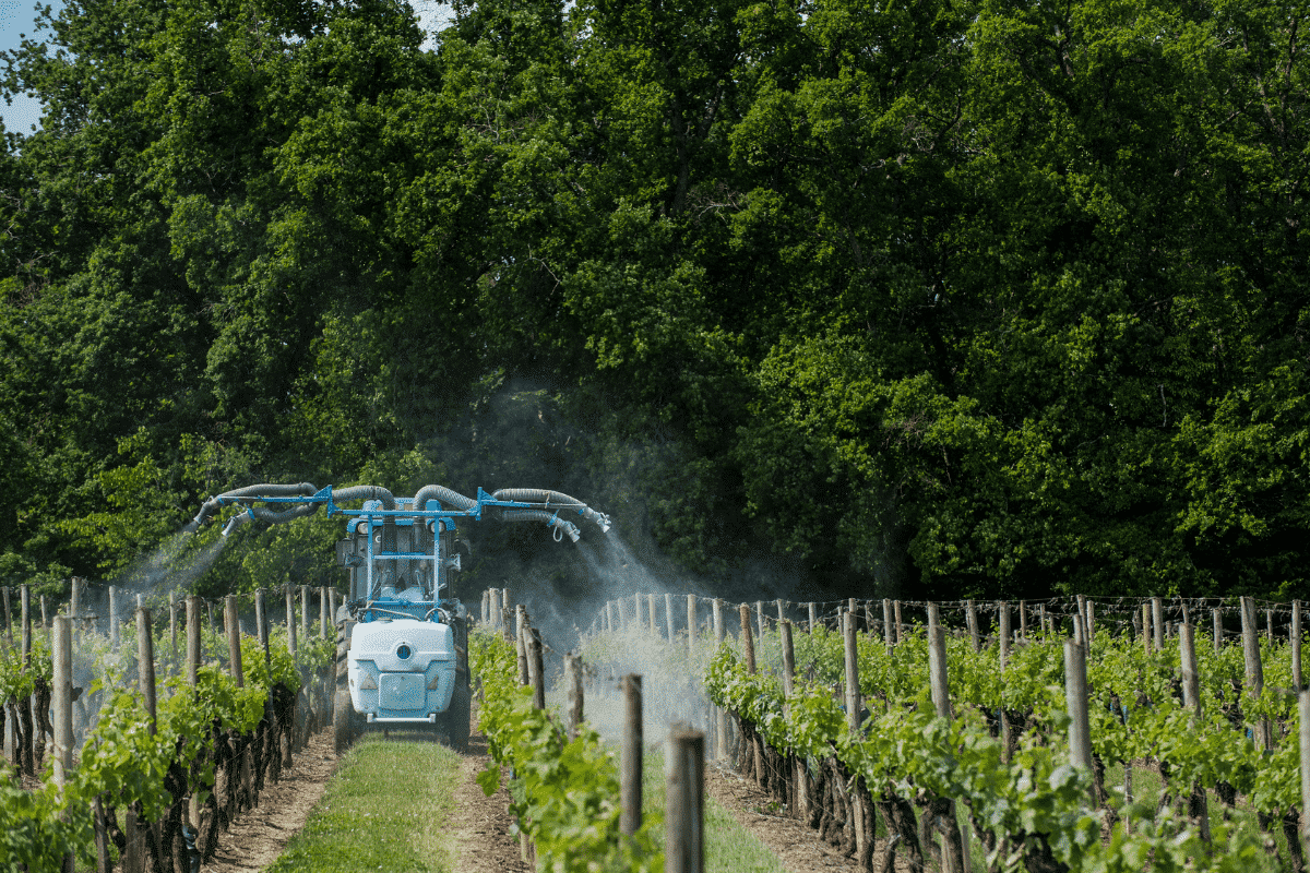 Agricultural chemical treatments in vineyard in springtime, France
