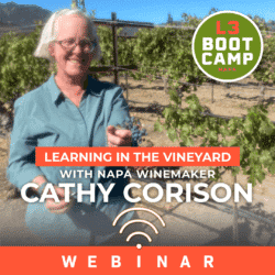 Learning in the Vineyard