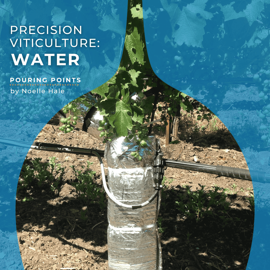 WAWArticleSQUARE Precision Viticulture Water Instagram Post
