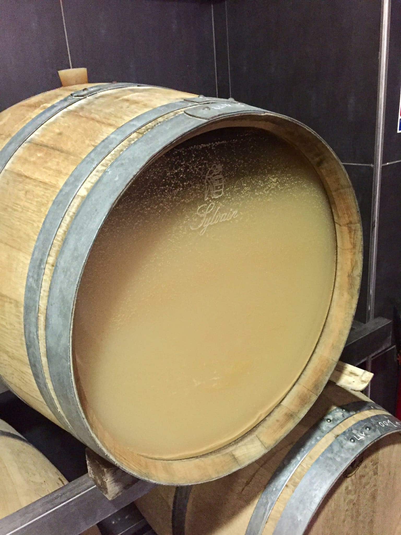 White wine ageing in barrels on the lees