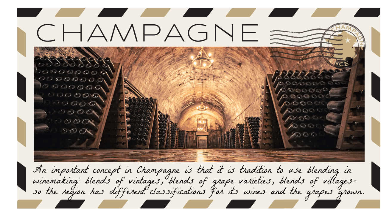 Champagne Road Trip 2022 Champagne postcard