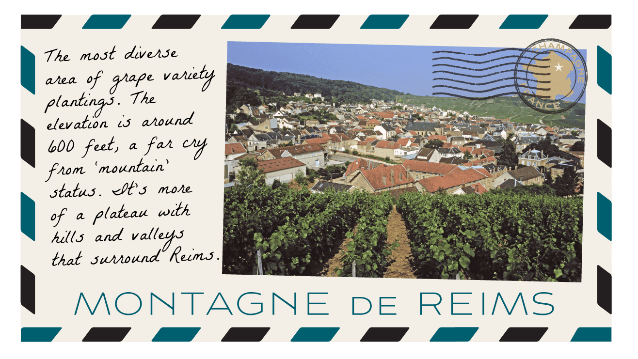Champagne Road Trip 2022 Montagne de Reims postcard