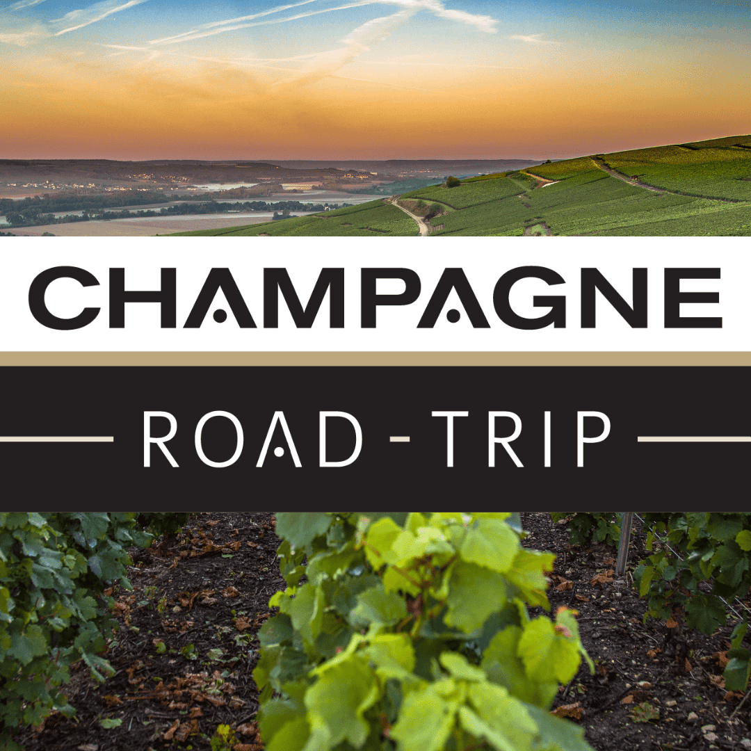 Champagne - Napa Valley Wine Academy