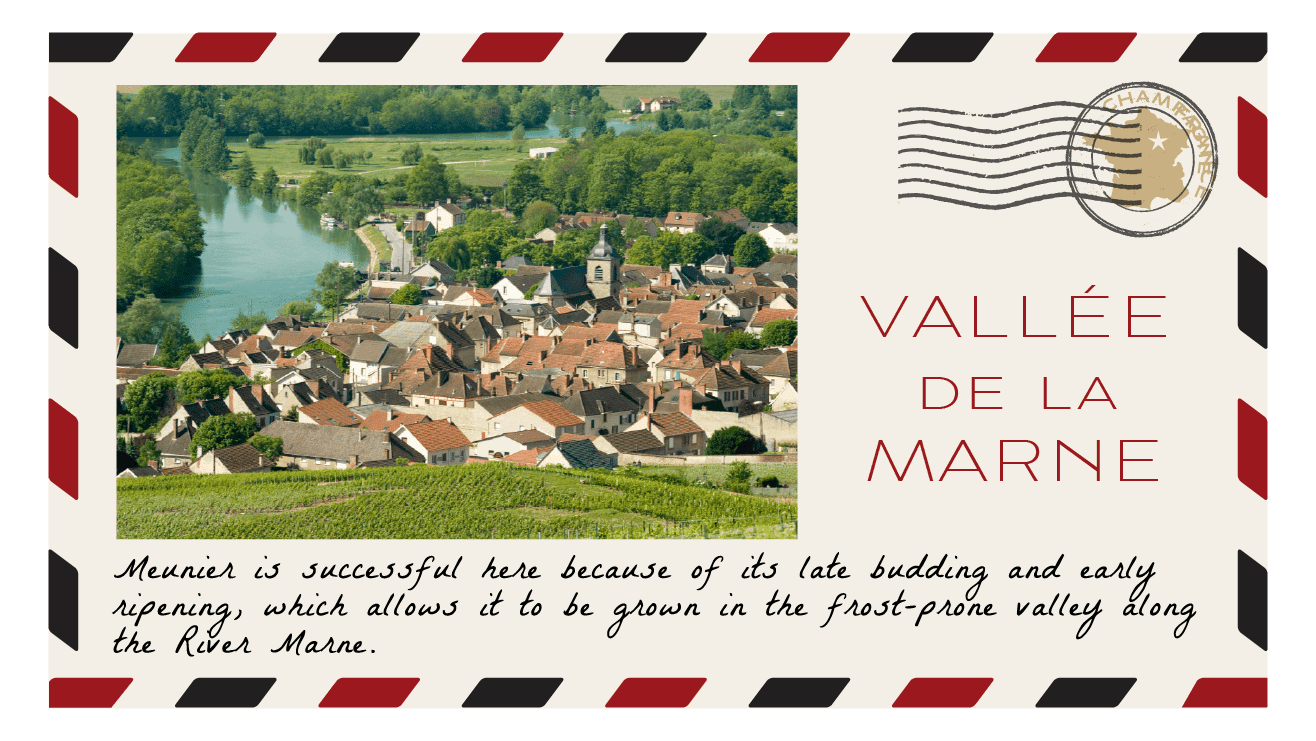 Champagne Road Trip 2022 Vallée de la Marne postcard