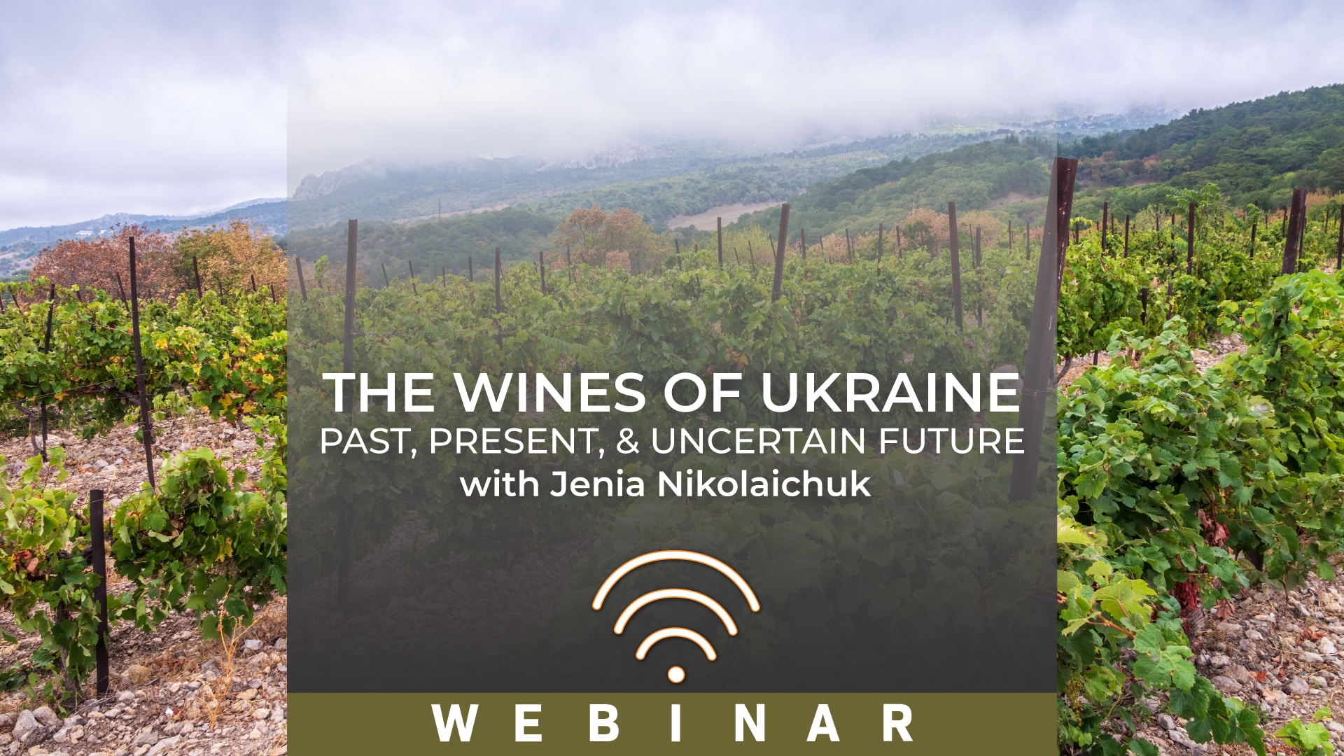 Wines of Ukraine Header