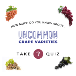 Uncommon Grape Varieties quiz cover