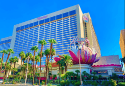 Flamingo Hotel Las Vegas