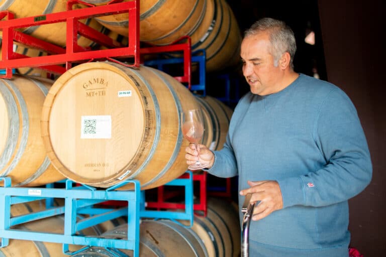 person holding wine glass next to wine barrels