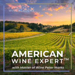 American Wine Expert Napa Valley Wine Academy