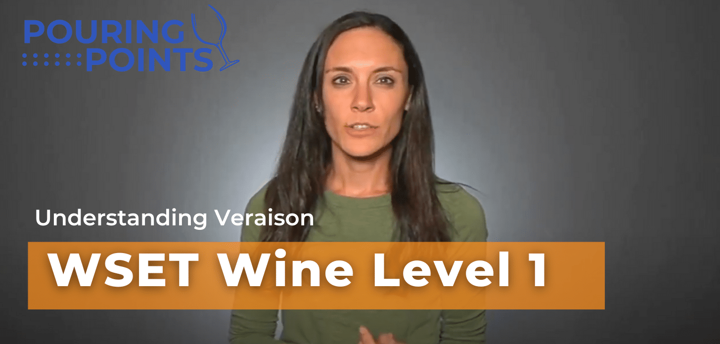 WSET Wine School Videos - WSET Spirits Videos - Wine Trips