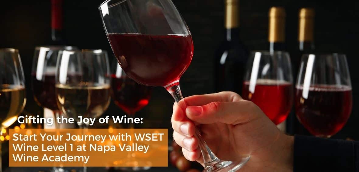 04 24 Gifting the Joy of Wine Start Your Journey with WSET Wine Level 1 at Napa Valley Wine Academy