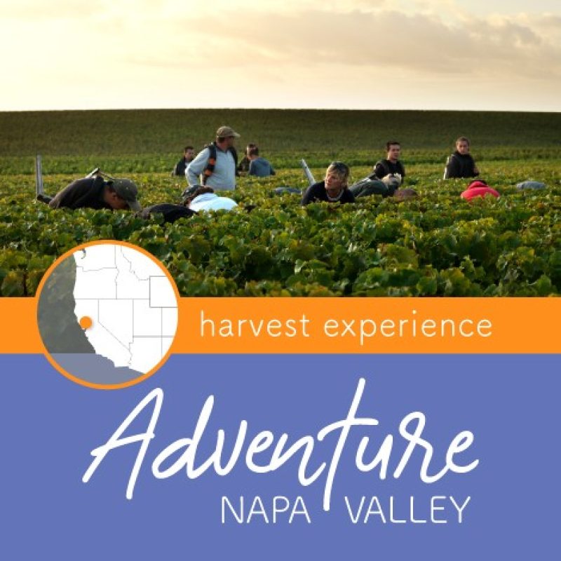 Adventure-Harvest2