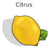 Citrus fruit - lemon