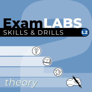 Exam Labs Level 2 Theory Square