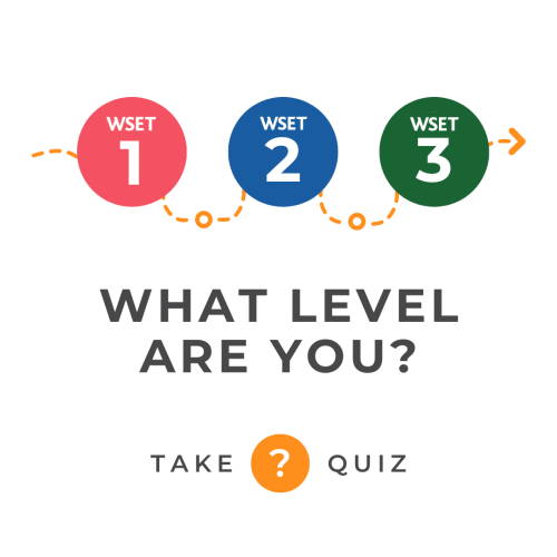 What Level are You Quiz Cover (1080 × 1080 px)